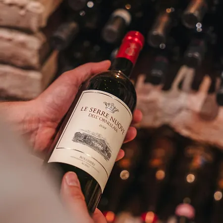 Arpuria L 4 Star Superior L Adults Only 圣安东阿尔贝格