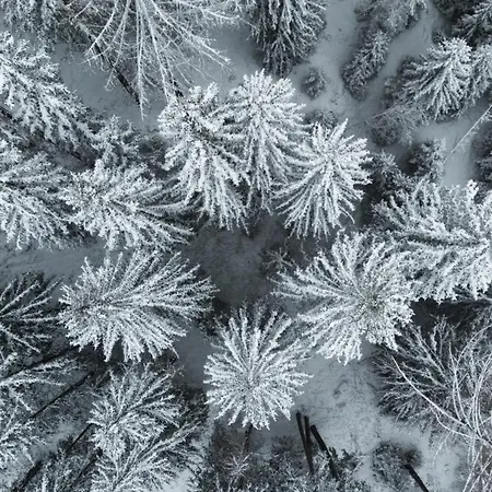 Arpuria L 4 Star Superior L Adults Only 酒店 圣安东阿尔贝格