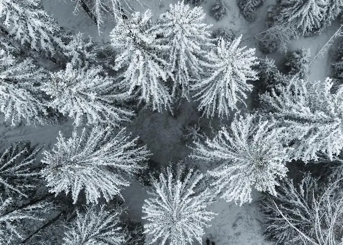 Arpuria (adults Only) Hotel Sankt Anton am Arlberg